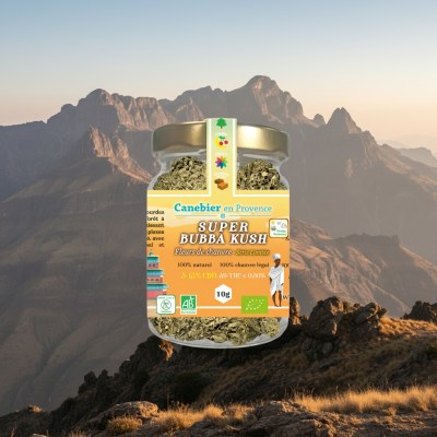 1766967354845-wndvcbgkqq