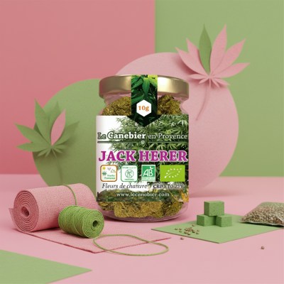 1766971892141-texzh09zj5a