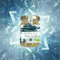 1766972473695-nb-b067e48abdce06c6c19b59c2f58d6a6d-1