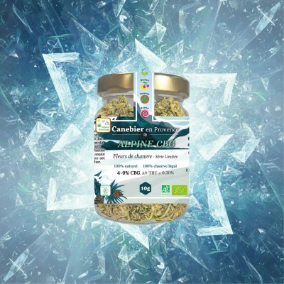 1766972473695-nb-b067e48abdce06c6c19b59c2f58d6a6d-1