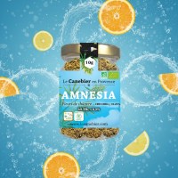 1766975602623-nb-79f5059440633d7243f44a740322a38e-1