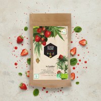 1767008637808-p8q6lf1vyec