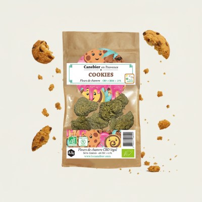 1767015983463-bl8gvtefhzn