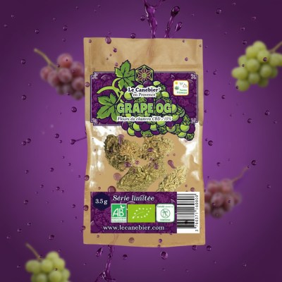 1767031064720-fgsc091wm7s