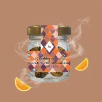 1767096166875-sp11a5c6dx