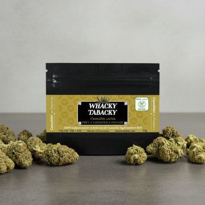 1767100778705-tcdo9e95wdp