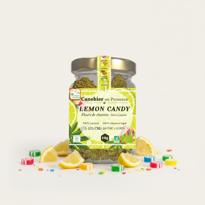 image_1766961399498_m4yfnv_1x1_1024x1024